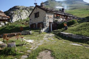 Alpine Summer